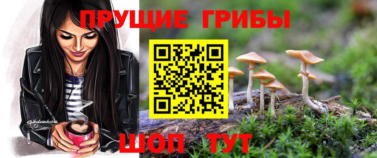 Галлюциногенные грибы Psilocybe Вышний Волочёк